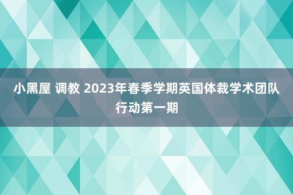 小黑屋 调教 2023年春季学期英国体裁学术团队行动第一期