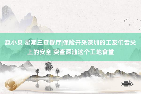 赵小贝 星期三查餐厅|保险开采深圳的工友们舌尖上的安全 突查深汕这个工地食堂