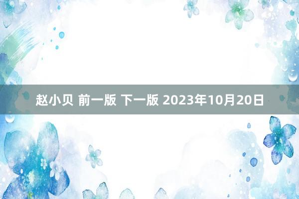 赵小贝 前一版 下一版 2023年10月20日