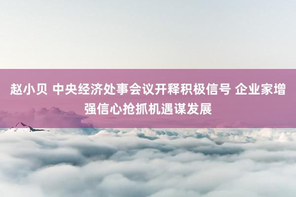 赵小贝 中央经济处事会议开释积极信号 企业家增强信心抢抓机遇谋发展